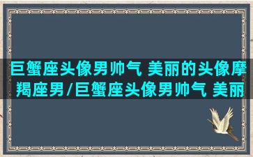 巨蟹座头像男帅气 美丽的头像摩羯座男/巨蟹座头像男帅气 美丽的头像摩羯座男-我的网站